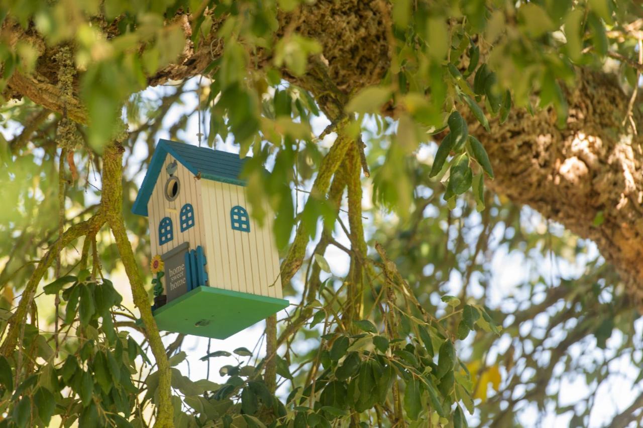 Mystay - Herdade Do Vale Da Abelheira Grândola Exteriör bild